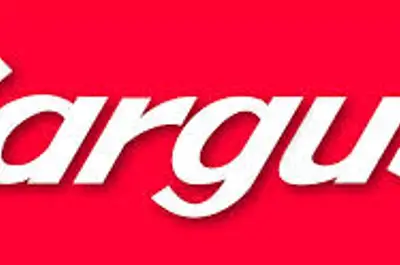 "iDGARAGES.com vise 2000 adhérents en 2015" 