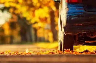 Conduire en automne| 5 conseils pour rouler en toute sécurité